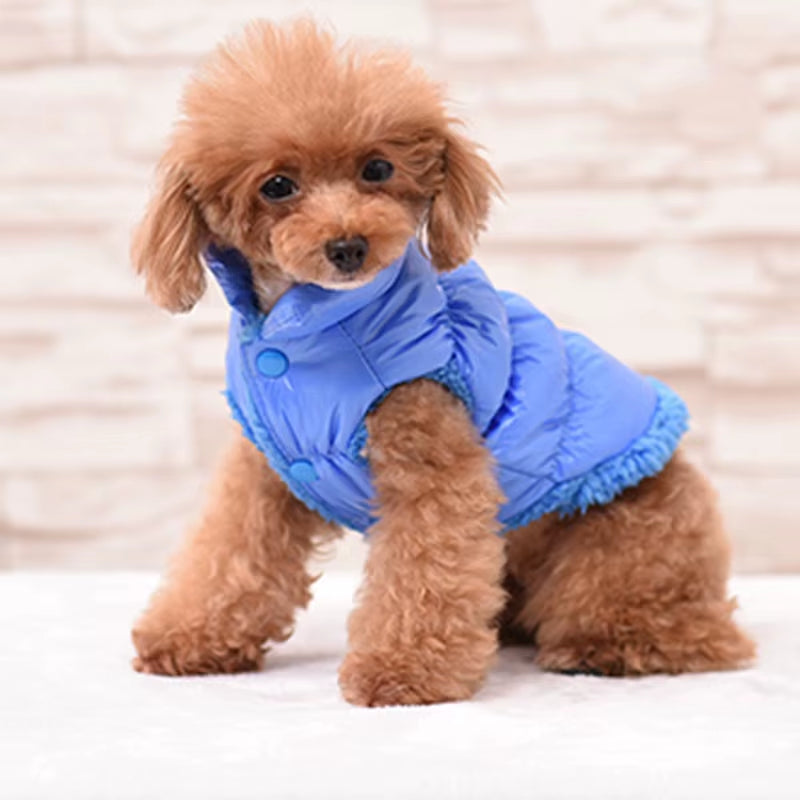 Classis Pet Dog down Jacket for Small Dogs Winter Cat Dog Clothes for Yorkshire Shih Tzu Coat Puppy Clothing Ubranko Dla Psa
