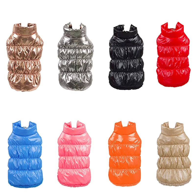 Classis Pet Dog down Jacket for Small Dogs Winter Cat Dog Clothes for Yorkshire Shih Tzu Coat Puppy Clothing Ubranko Dla Psa